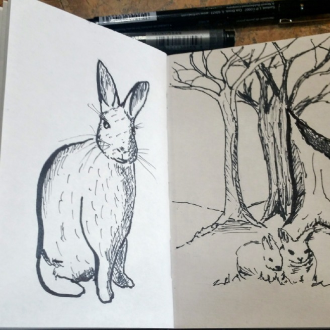 Rabbit sketches done on a lunch break.
